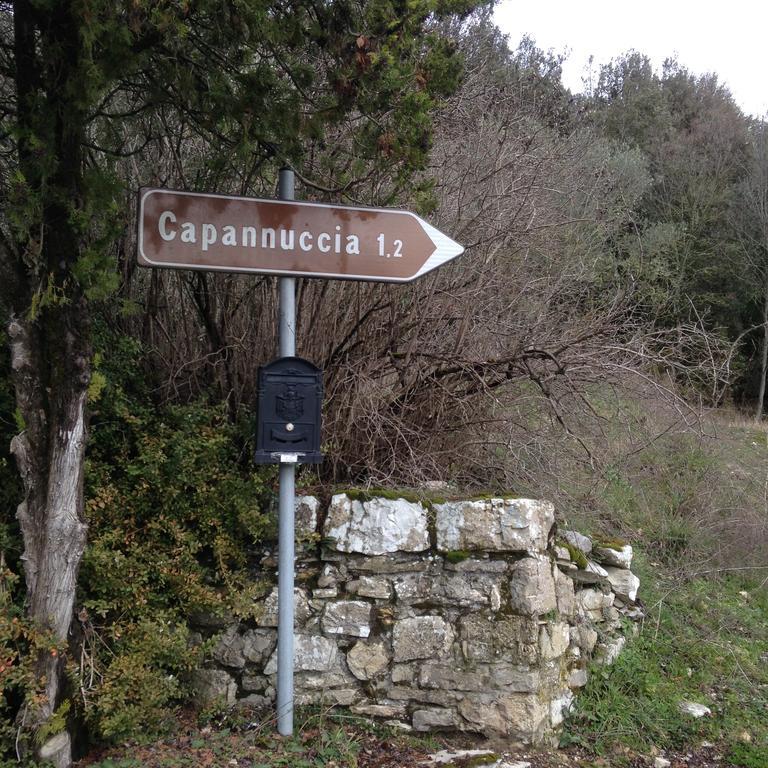 Villa Capannuccia Castellina in Chianti Exteriör bild