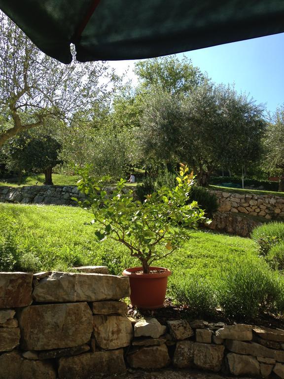 Villa Capannuccia Castellina in Chianti Exteriör bild